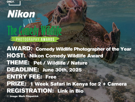 Nikon Comedy Wildlife Awards 2025