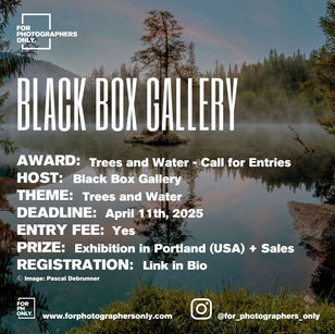Black Box Gallery - Focus: Trees and Water
