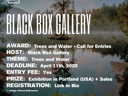 Black Box Gallery - Focus: Trees and Water