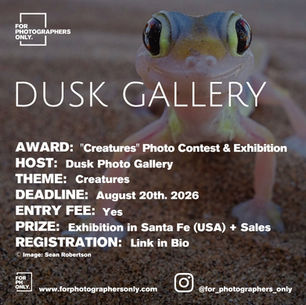 Dusk Photo Gallery - "Creatures" Photography Contest & Exhibition Open Call 2026