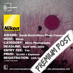 Nikon Small World Competition 2025