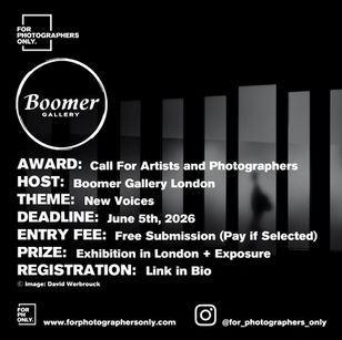 The Boomer Gallery - "New Voices" Call For Artists and Photographers 2026