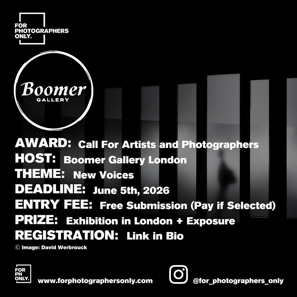 The Boomer Gallery - "New Voices" Call For Artists and Photographers