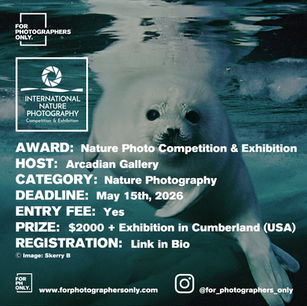 Arcadian Gallery - International Nature Photography Competition & Exhibition Call for Entries
