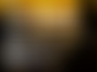 The 16th International Picture Award / ANIMAL | PEOPLE | PANORAMA