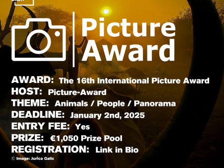 The 16th International Picture Award / ANIMAL | PEOPLE | PANORAMA