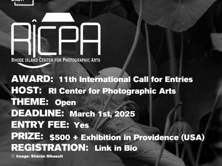 RICPA - 11th International Call for Entries