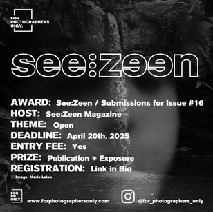 SEE:ZEEN Magazine - Submissions for Issue #16