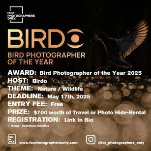 Birdo - Bird Photographer of the Year 2025