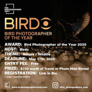 Birdo - Bird Photographer of the Year 2025