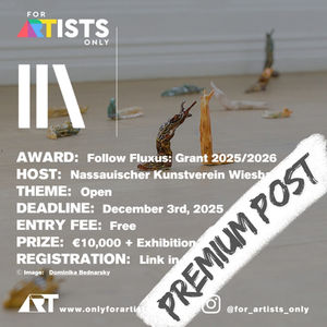 Nassauischer Kunstverein Wiesbaden - Follow Fluxus: Grant 2025/2026