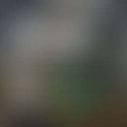 Black Box Gallery - Taking Pictures: 2025
