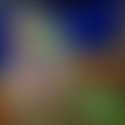 Ah Haa School for the Arts - Immersive Installation Opportunity 2025