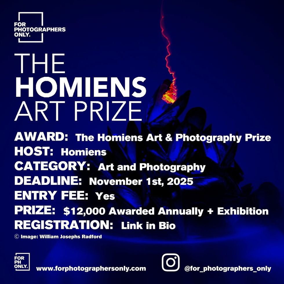 The Homiens Art Prize - Call for Art & Photography