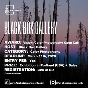 Black Box Gallery - Vision: Color Photography Open Call 2026