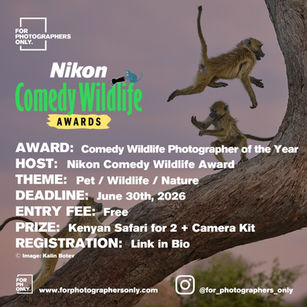 Nikon Comedy Wildlife Awards 2026