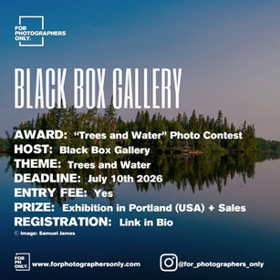 Black Box Gallery - "Trees and Water" Photo Contest