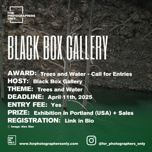 Black Box Gallery - Focus: Trees and Water