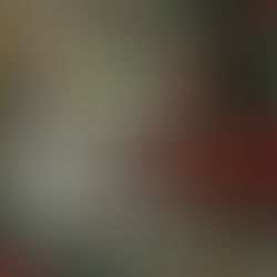 Animayo 2025 International Poster Contest