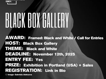 Black Box Gallery - "Black and White" Open Call