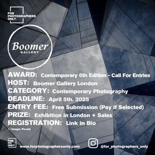 The Boomer Gallery - "Contemporary" 6th Edition Call For Artists