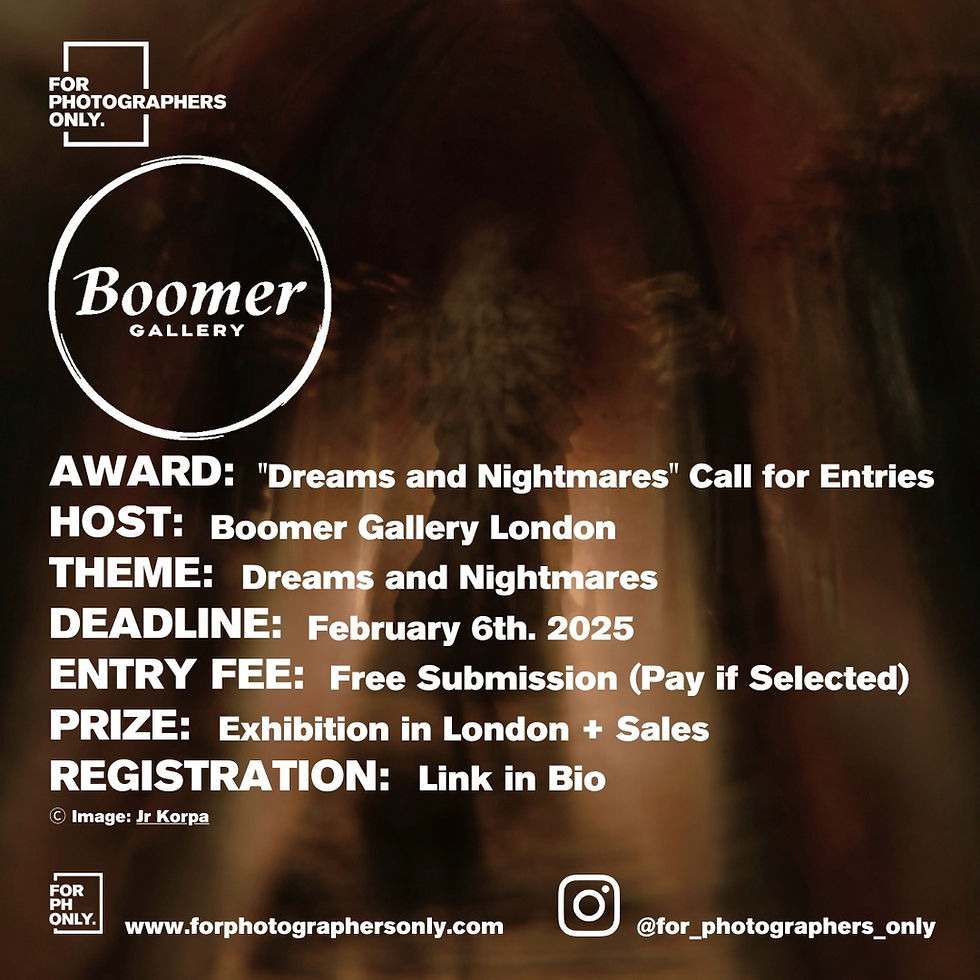 The Boomer Gallery - "Dreams & Nightmares" Call for Entries