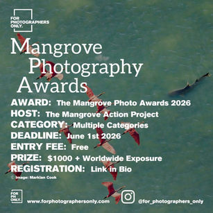 Mangrove Photo Awards 2026 - Call for Entries