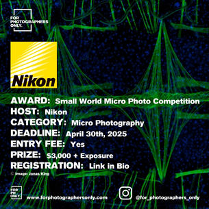 Nikon Small World Competition 2025