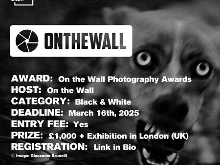 On The Wall - Photography Award