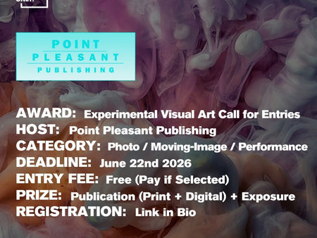 Point Pleasant Publishing - Experimental Visual Art for Hardcover Book Editions & Online