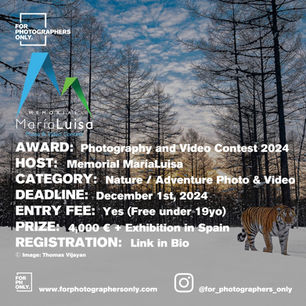35th Memorial Maria Luisa Photo and Video Contest