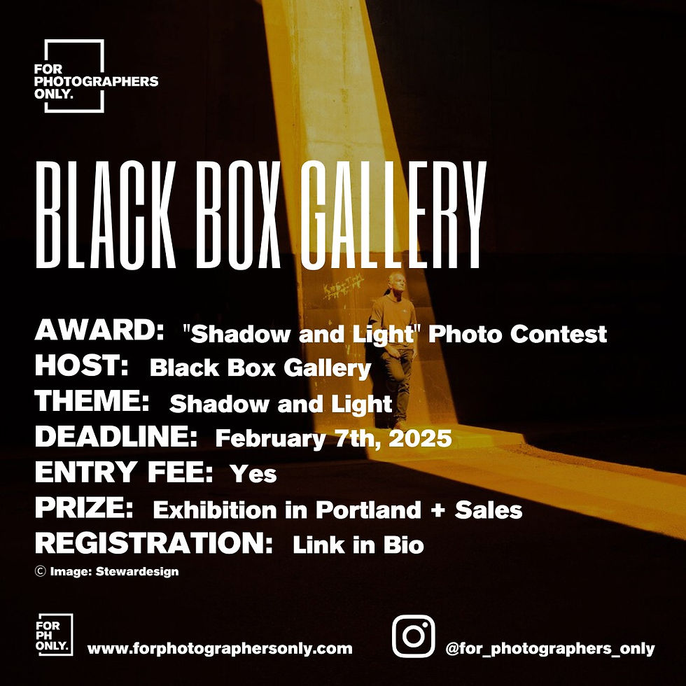 "Shadow and Light" Photo Contest by Black Box Gallery