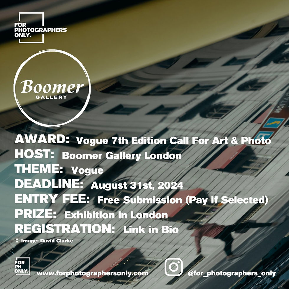 The Boomer Art Gallery - Vogue 7th Edition