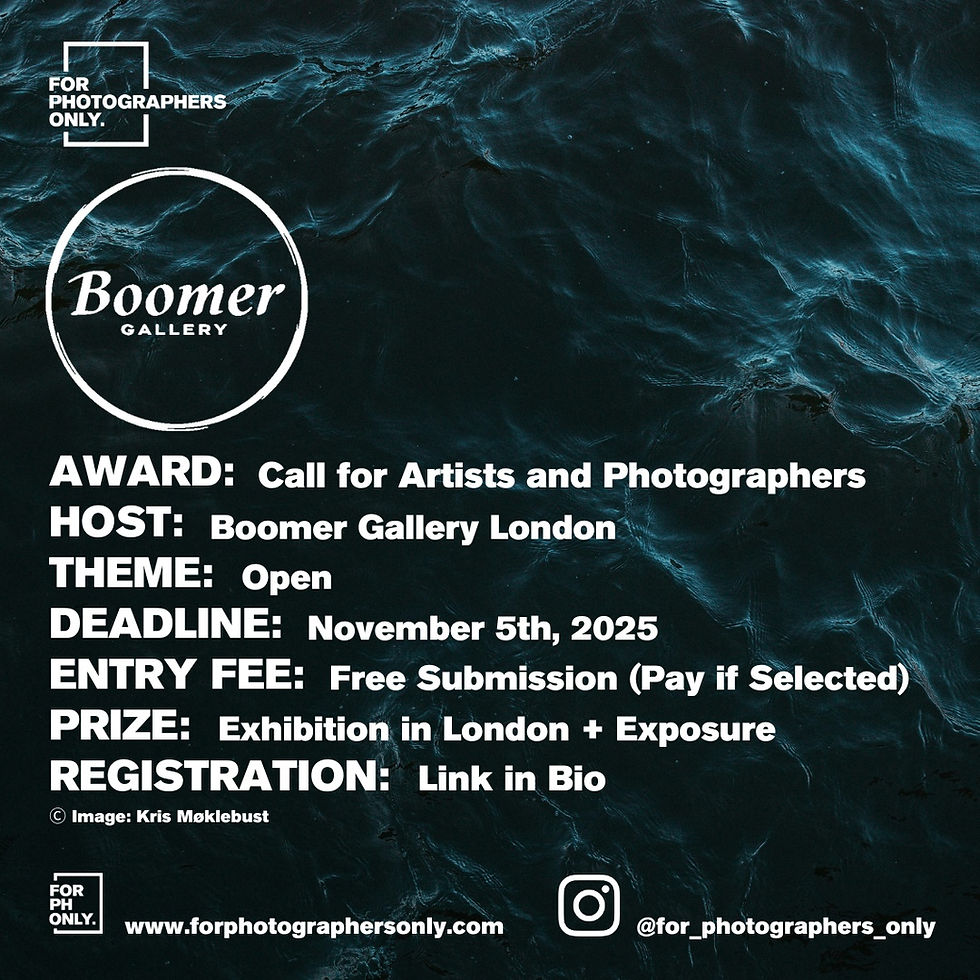 The Boomer Gallery - The New Artist: Call For Artists