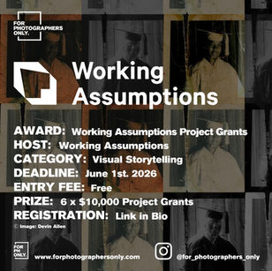 Working Assumptions Project Grants