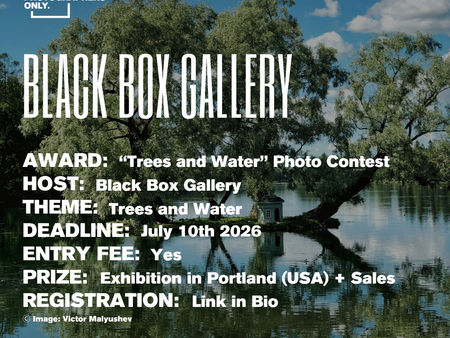 Black Box Gallery - Lens Work: Trees and Water