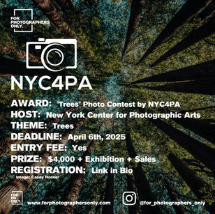 NYC4PA - "Trees" Photography Contest