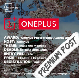 OnePlus Photography Awards 2025