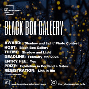 "Shadow and Light" Photo Contest by Black Box Gallery