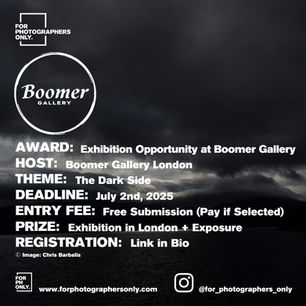 The Boomer Gallery - The Dark Side: 4th Edition