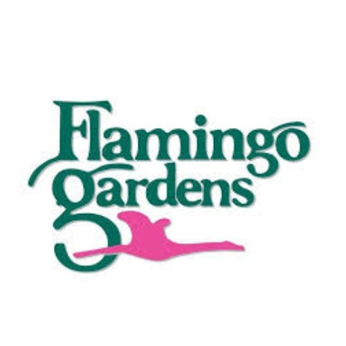 Flamingo Gardens - Annual Photo Contest: Patterns in Nature
