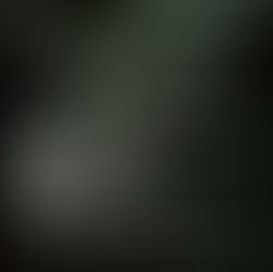 Dusk Gallery - "Botanical" Call for Entries 2026