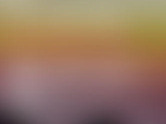 Rhode Island Center for Photographic Arts - Landscapes: Real or Imagined