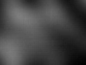 Black Box Gallery - Dynamic: Shadow and Light