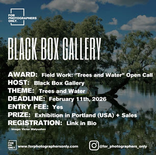 Black Box Gallery - Field Work: "Trees and Water" Call for Entries