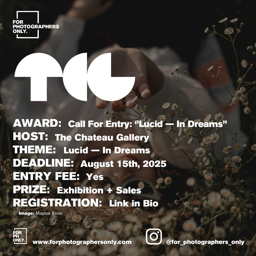 The Chateau Gallery - Call For Entry: Lucid — In Dreams