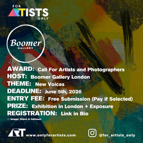 The Boomer Gallery - "New Voices" Open Call For Artists and Photographers 2026