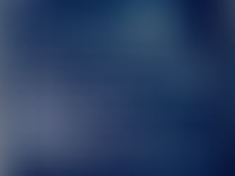 Dusk Gallery - "Botanical" Photography Exhibition