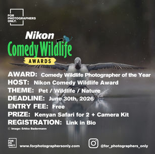 Nikon Comedy Wildlife Award - Comedy Wildlife Photographer of the Year Open Call