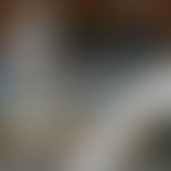 FELTspace - 2026 Exhibition Program